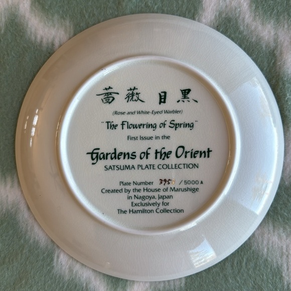 NEW Japan Satsuma plate The Flowering of Spring - Picture 5 of 7